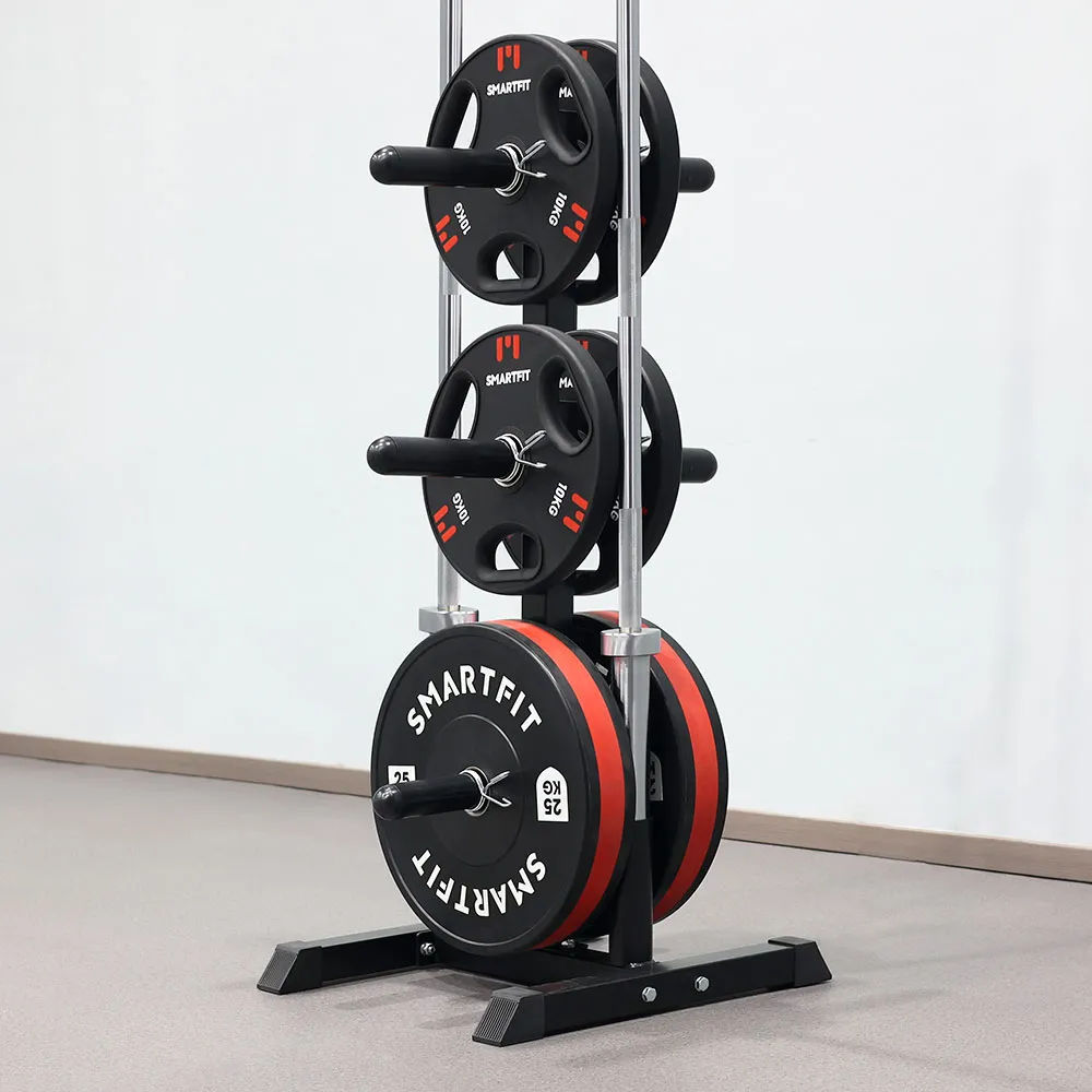 Olympic Weight Plates And Bars Storage Rack R005
