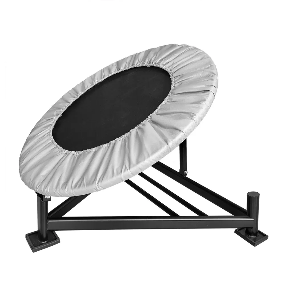 Medicine Ball Rebounder SF8200